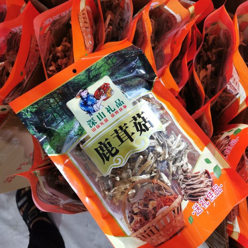 新货鹿茸菇干货福建古田特产农家鹿茸菌新鲜无硫菌菇煲汤炒菜