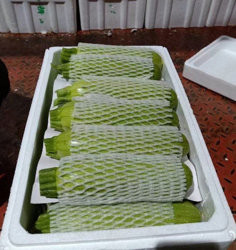 西葫芦，现已大量上市，货源充足，量大价优，欢迎采购