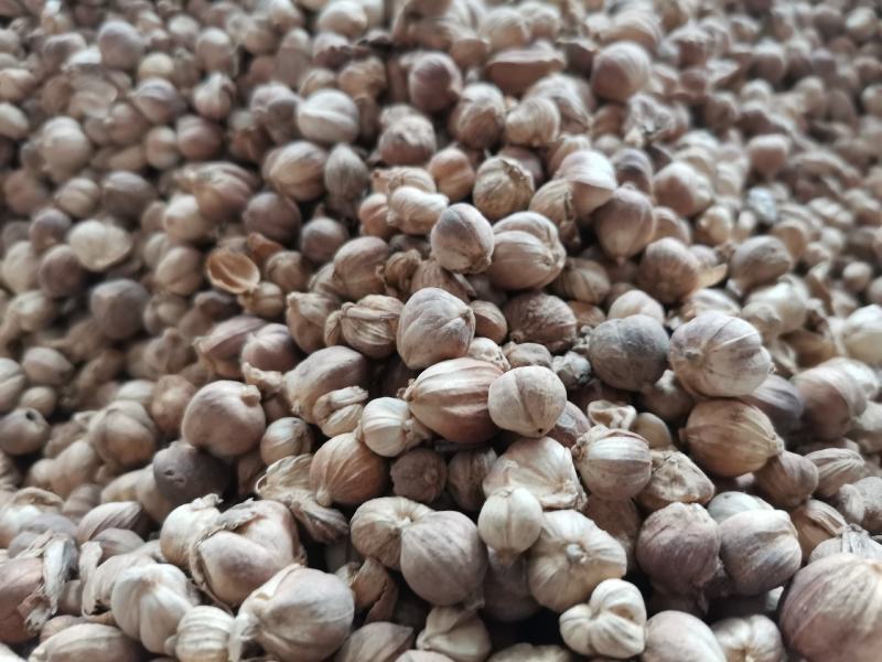原色白豆蔻，不熏硫磺，不漂白，足斤足两颜色不是很白，