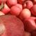 纸袋红富士苹果货量多多，产地货源，甜美可口，欢迎采购