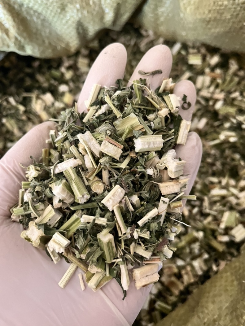 益母草颜色青今年新货无杂质可以打粉产地直销一手货源。