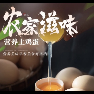 土鸡蛋山东滨州农村无公害养殖不含任何药物品种鸡