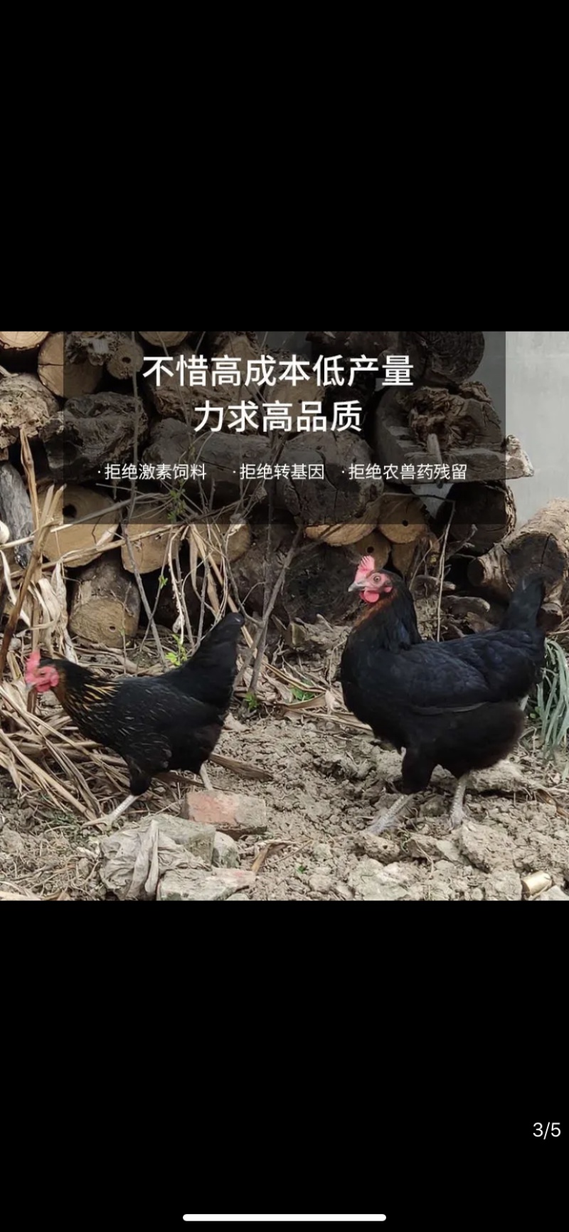 土鸡蛋山东滨州农村无公害养殖不含任何药物品种鸡