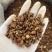 炙甘草蜜制甘草红皮甘草无硫各种中药材批发