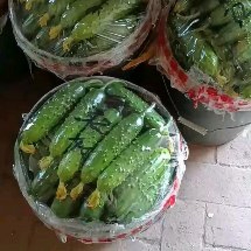 旱黄瓜大量上市，泡沫箱货，桶装货，筐装货，按需分配质量保