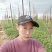阳光玟瑰，蓝宝石，玫瑰香，巨峰，各品种营养杯苗，全国发货