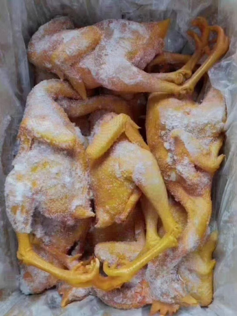 盐焗鸡翅盐焗鸡盐焗鸡腿盐焗鸡尖卤菜凉拌手撕鸡