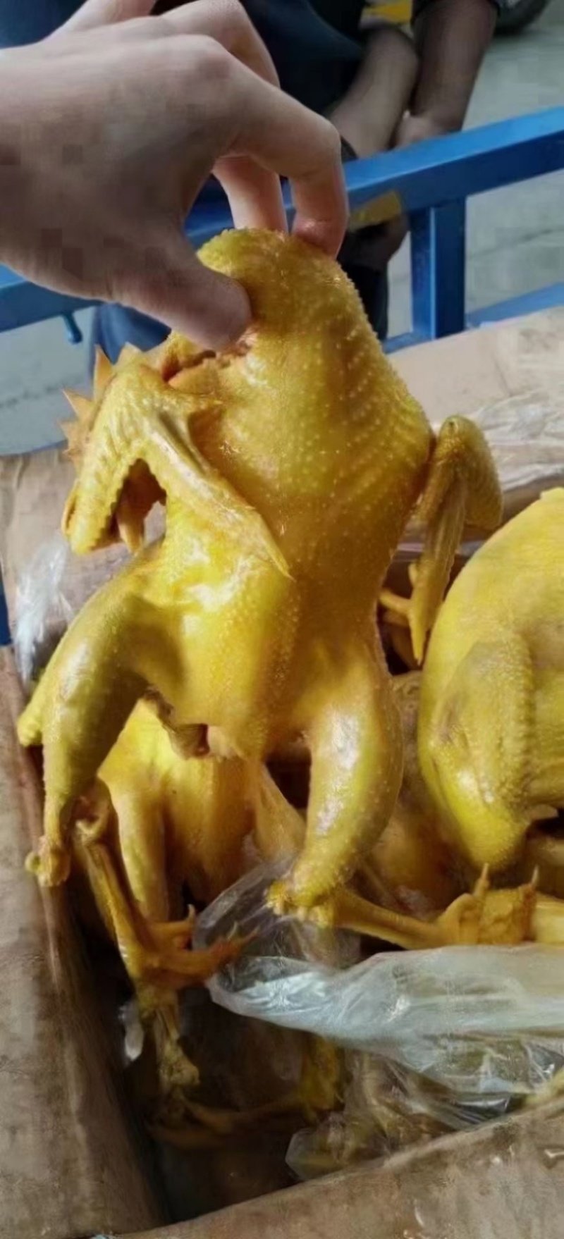 盐焗鸡翅盐焗鸡盐焗鸡腿盐焗鸡尖卤菜凉拌手撕鸡