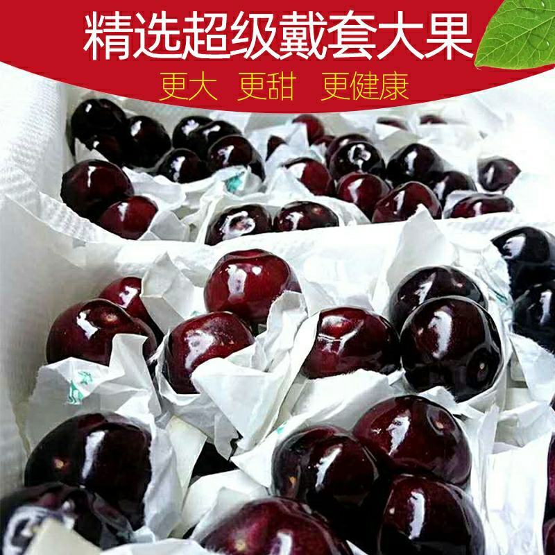 天水大樱桃新鲜水果空运包邮甘甜多汁美早车厘子