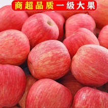 【山东红富士苹果】山东苹果，苹果价格山东冷库片红富士