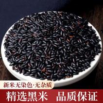东北黑米农民自产黑香米新米五谷杂粮粗粮黑大米批发黑米饭