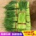 2022年新鲜露天蒜苔应季农家自种蒜苔