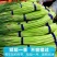 2022年新鲜露天蒜苔应季农家自种蒜苔