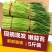 2022年新鲜露天蒜苔应季农家自种蒜苔