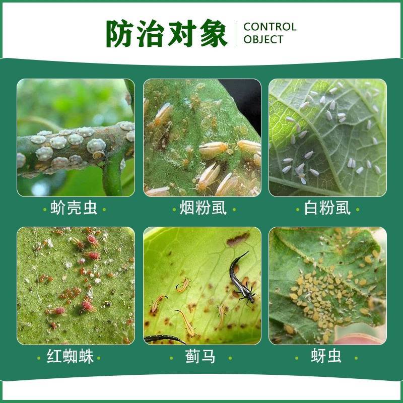 沪联牙信打螺虫乙酯白粉虱蚜虫红蜘蛛介壳虫亩旺特成分杀虫剂