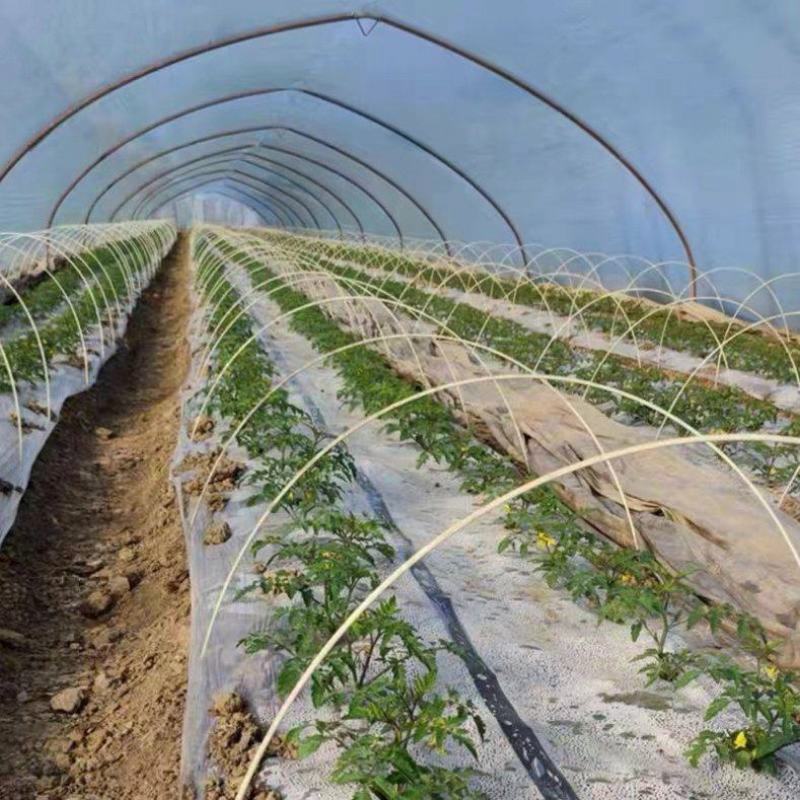 玻璃纤维实心棒拱棚材料农用蔬菜育苗保温拱棚支架替代竹竿