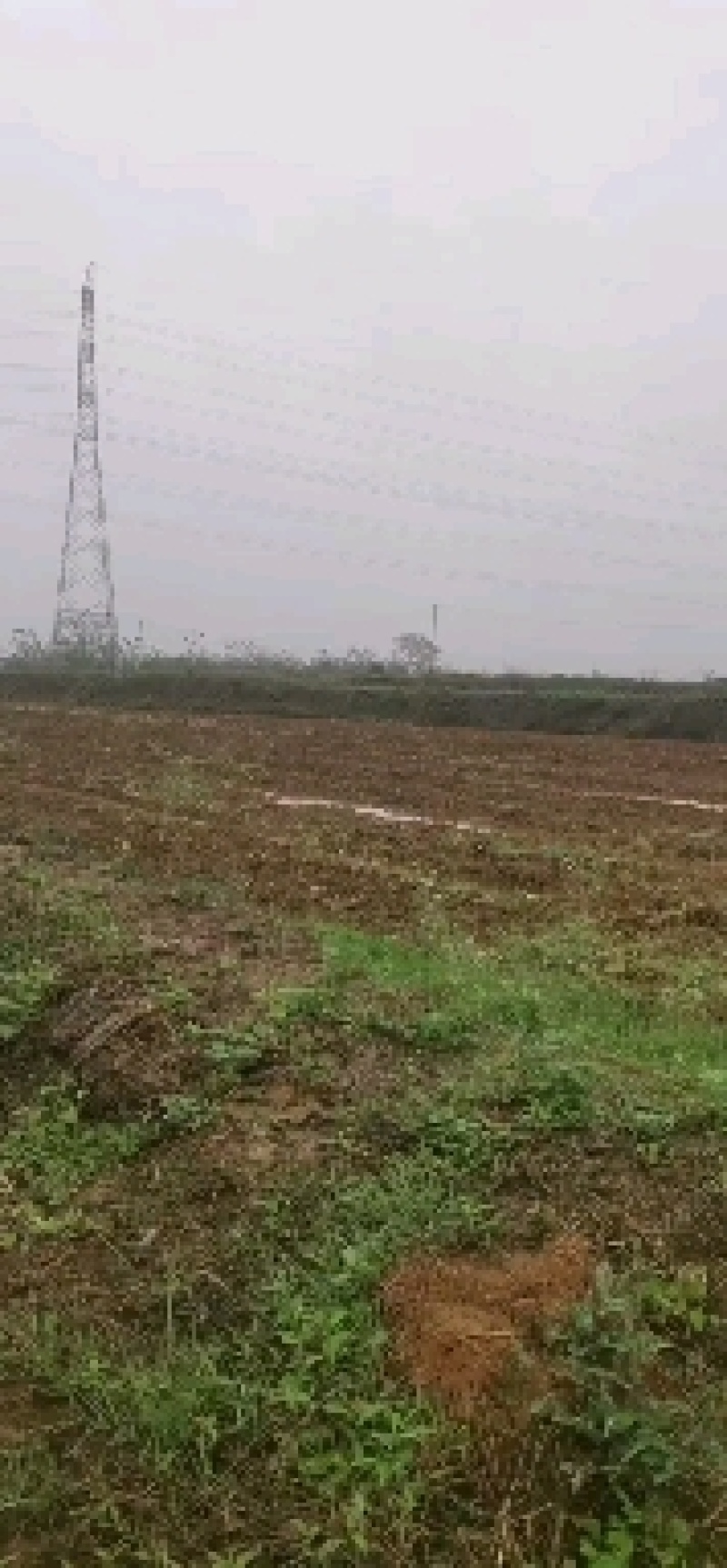 ：广西白色市高标准农田出一万亩