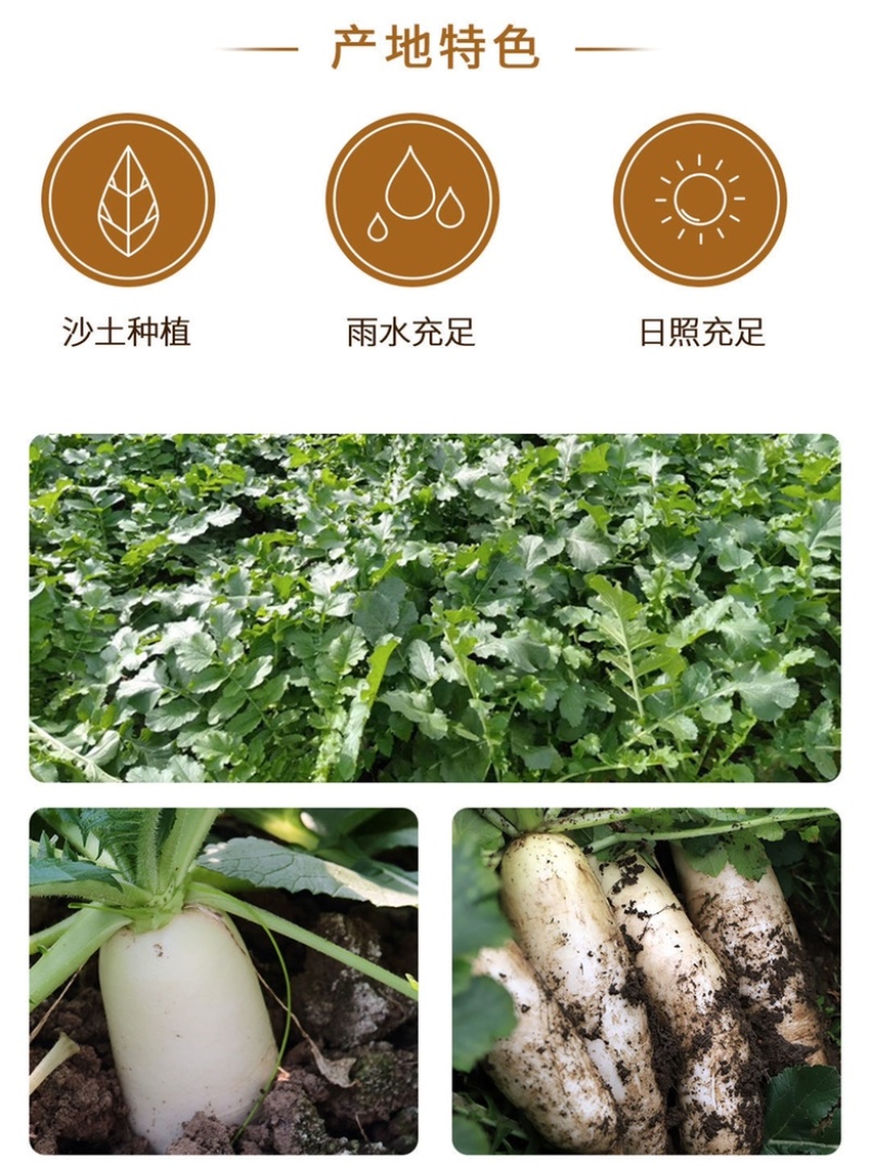 萝卜干批发自晒萝卜丝干干无盐风干萝卜干脱水蔬菜