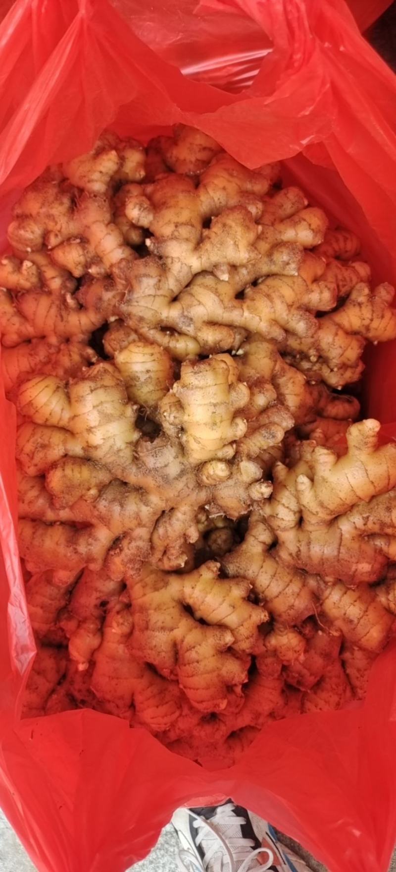 岳西精品小黄姜