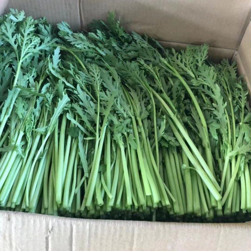 精品本地货，茼蒿，不空心，干货，质量有保障，量大从优