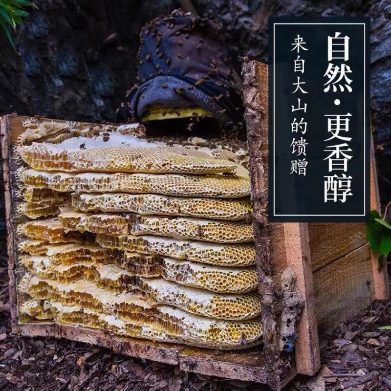 蜂巢蜜土蜂蜜农家自产蜂窝蜜菜花蜜蜂蜜批发