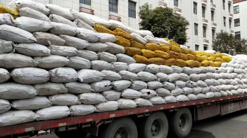 便秘果缅甸大解果随便果腊肠树果奇异果云南便秘果茶批发
