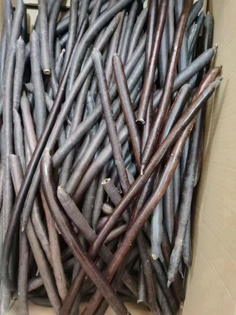 便秘果缅甸大解果随便果腊肠树果奇异果云南便秘果茶批发