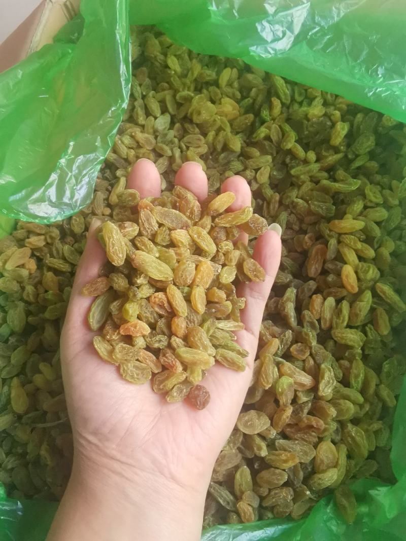 新疆葡萄干，货源充足，大量批发电商多多橙心兴盛合作可代发