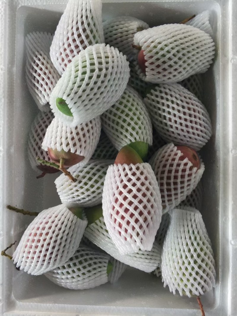 海南贵妃芒产地直供团购一件代发批发量大从优