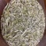 白茶头采银针回味甘甜品质保证白毫银针茶饼