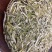 白茶头采银针回味甘甜品质保证白毫银针茶饼