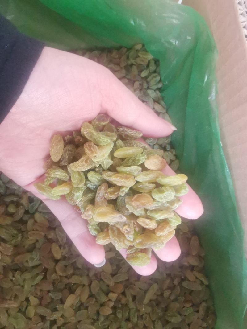 新疆葡萄干，货源充足，大量批发电商多多橙心兴盛合作可代发