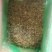 新疆葡萄干，货源充足，大量批发电商多多橙心兴盛合作可代发