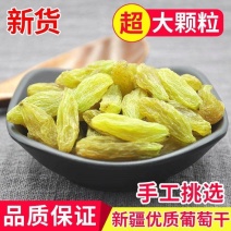 新疆葡萄干，货源充足，大量批发电商多多橙心兴盛合作可代发