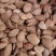 瓜蒌新籽可炒货食用楼籽可作种子用，保发芽出苗