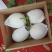 玉菇甜瓜上市了，可进小区，可视频看货，欢迎预约现采