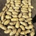 肥城大棚荷兰十五土豆大量上市，货源充足，品质保证，全国发