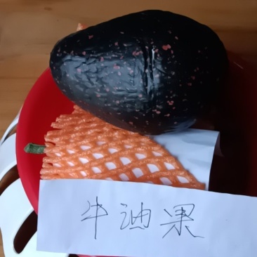 牛油果新鲜来自农家特产，10个为一件包邮。