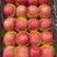 苹果产地陆地果冷库红富士苹果供应一手货源质量优选