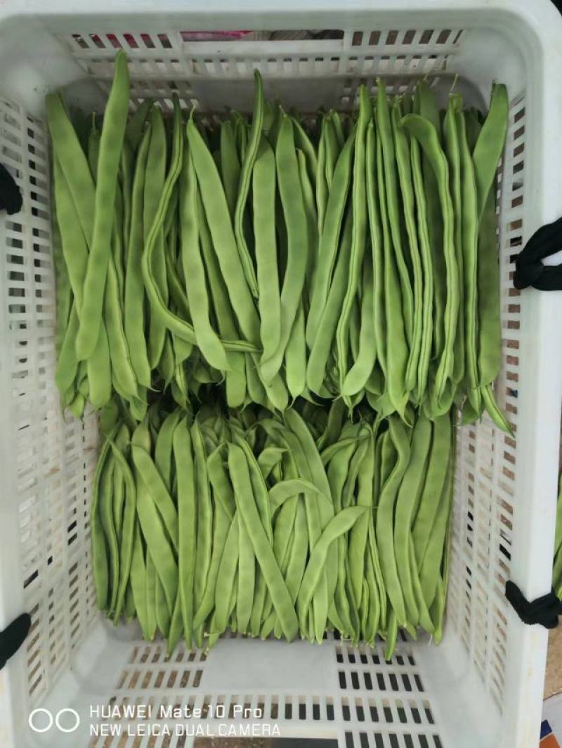 芸豆，产地直发，诚信经营，欢迎咨询，进店选购。