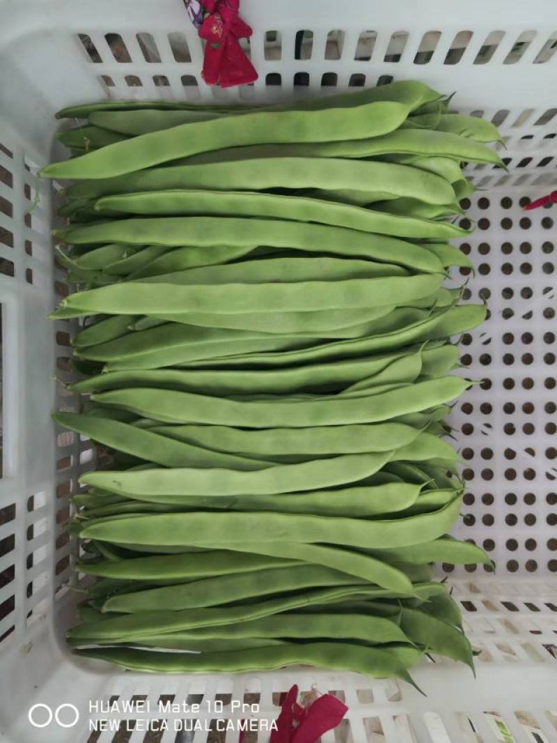 芸豆，产地直发，诚信经营，欢迎咨询，进店选购。