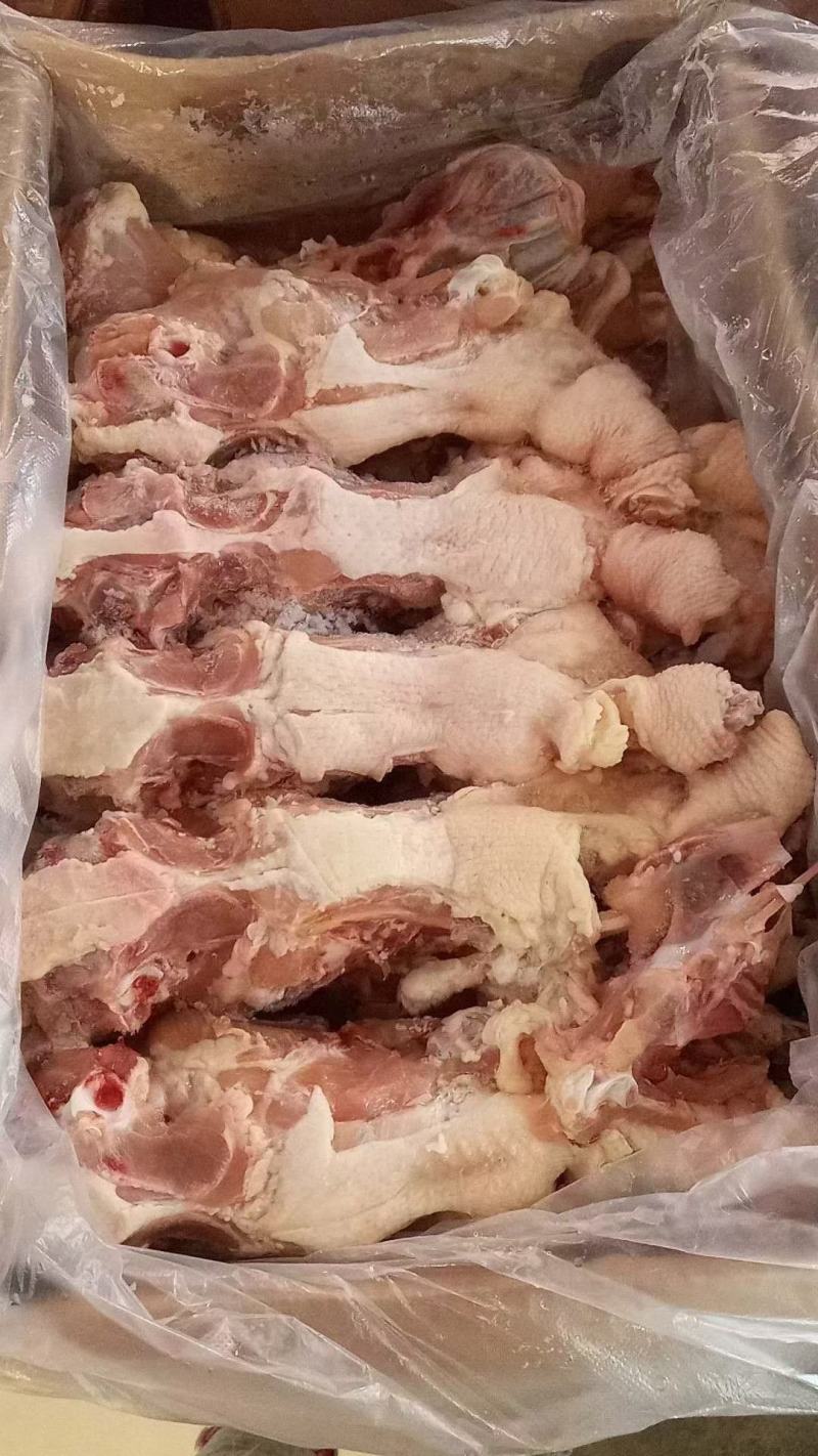带头带尾带尾老鸡架厂家直接发货，价格合适，资质齐全