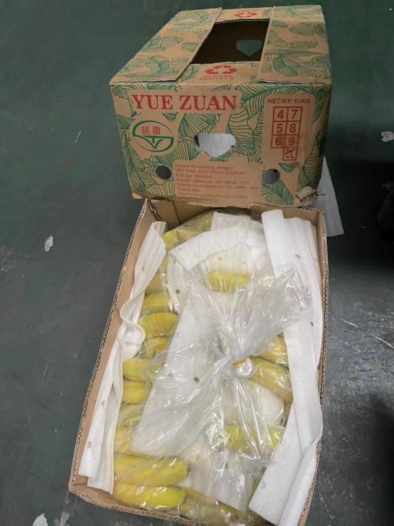 整箱大箱一级品质大蕉质量保证随时发货包一切售后
