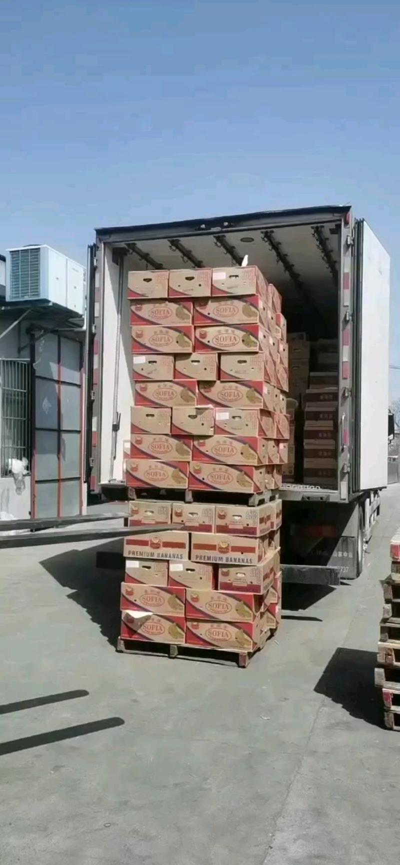 整箱大箱一级品质大蕉质量保证随时发货包一切售后