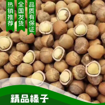 精品小榛子产地直发量大从优欢迎咨询