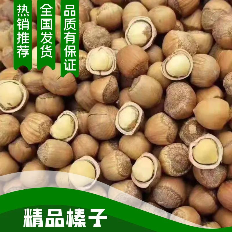 精品小榛子产地直发量大从优欢迎咨询