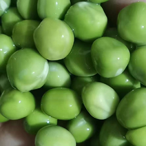 干青豌豆一斤泡3斤利润可观一天干一两百斤不是问题，当季