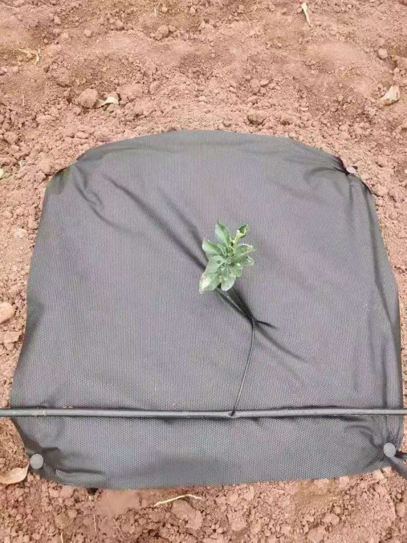 打孔pe防草布多少钱一米，加工单张，连续打孔