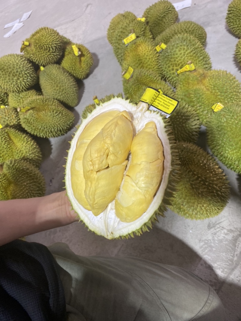 泰国金枕头榴莲【坏果包赔】一件代发电商平台