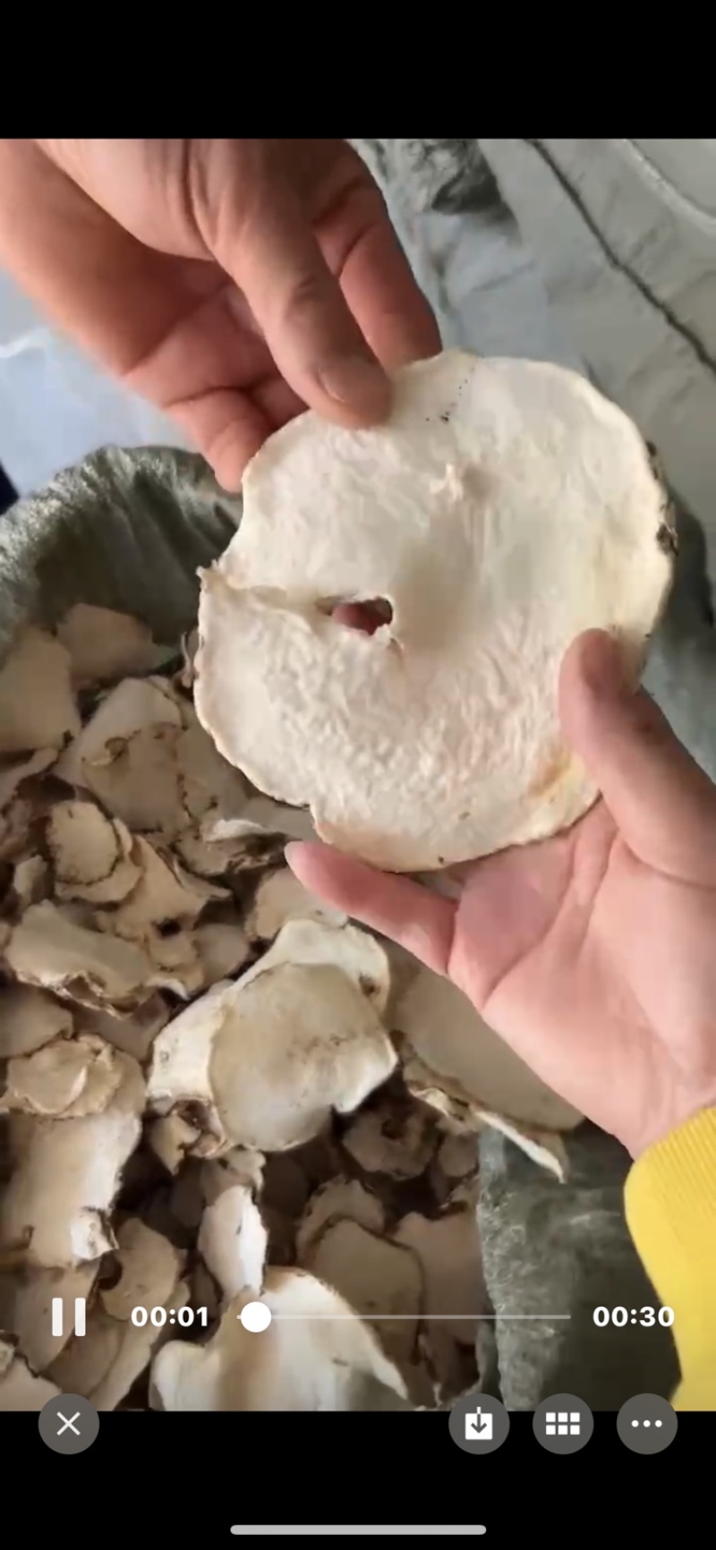 魔芋片